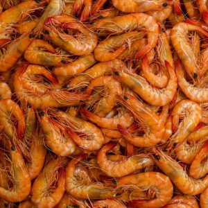Crevettes roses entières